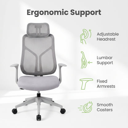 Ergonomic Mesh Office Chair
