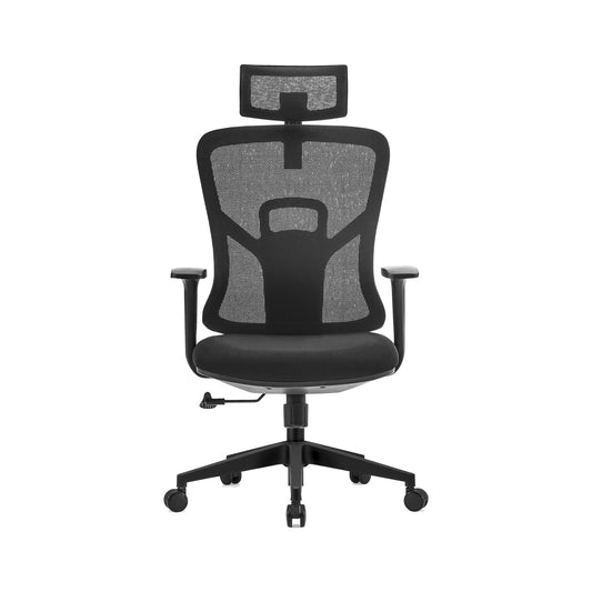 Ergonomic Mesh Office Chair