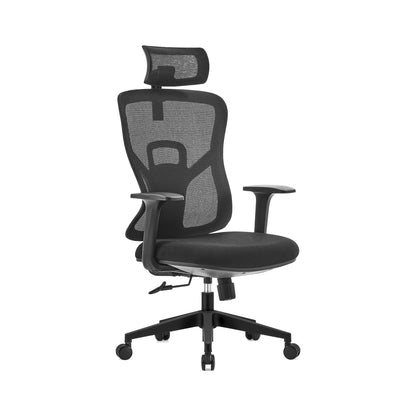 Ergonomic Mesh Office Chair