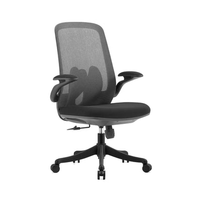 Ergonomic Mesh Office Chair