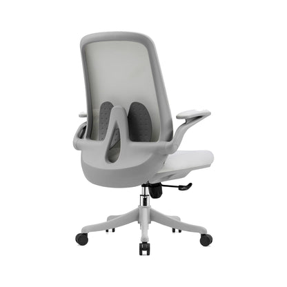 Ergonomic Mesh Office Chair